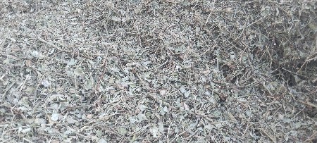 bhuko (palo)