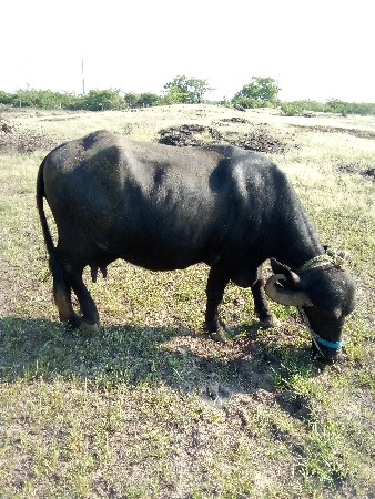 એક લાખ 25 હજાર