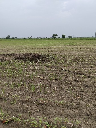 ખેતીની જમીન વેચવાની છે.