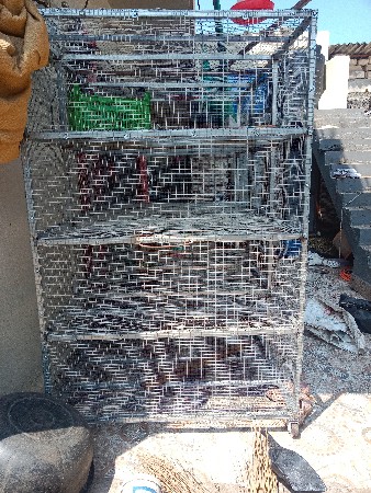પાંજરું વેચવાનું છે છ બાય છ