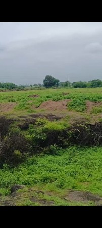 માણેકવાડા