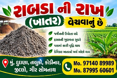 રાખ રાબડા ની