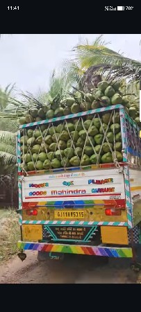 નારીયેલ