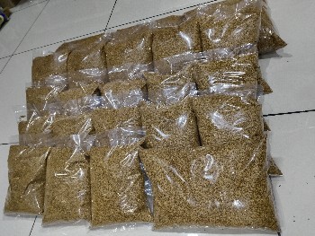 gadap nu biyaran.....