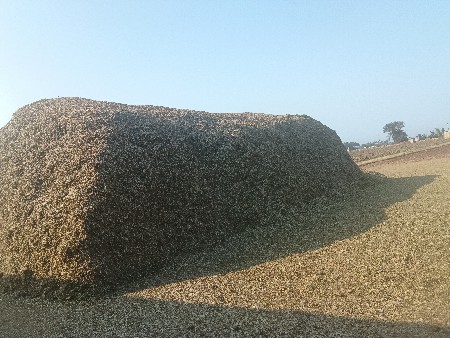 જી ૨૦ માંડવી નો સારો