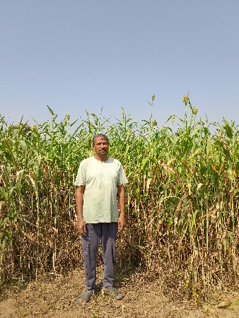 જુવારનો ચારો વેચવાનો છે