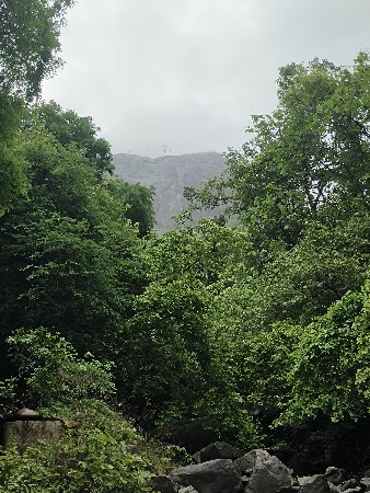 ડોધ નો નળો ફાલ્કન કંપનીનો