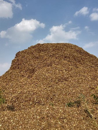 માંડવીયુ વેચવાનું છે