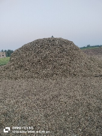 માંડવીનો ભૂકો વેચવાનો છે