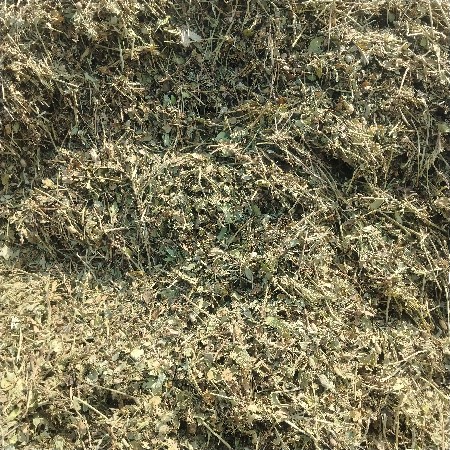 માંડવી નો પાલો વેચવા નો સે