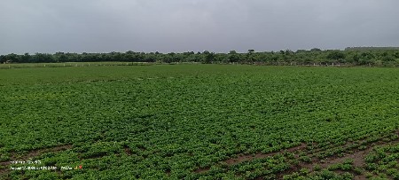 જમીન વેચવાની છે