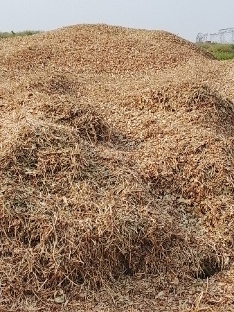 bhuko vechvano chhe