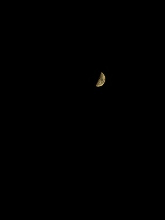 half chand