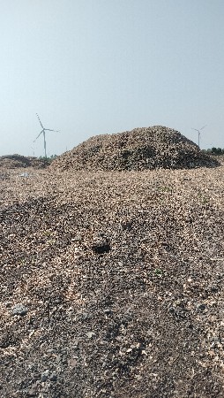 39 નંબર માંડવીનો પાલો વેચવાનો