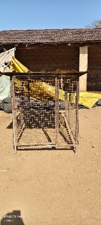 ડોગ નુ પીંજરું વેસવાનુ છે