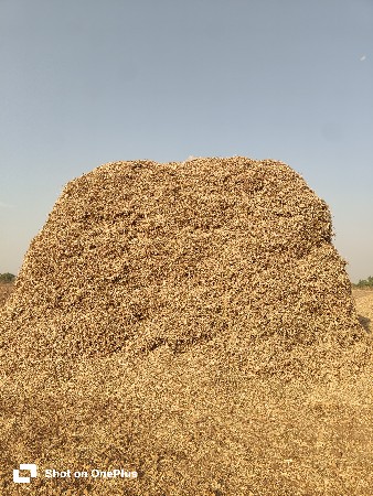 ભૂકો વેચવાનો છે