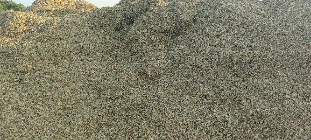 મગફળી નો પાલો  ભૂકો