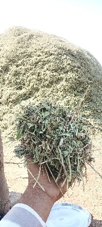 ભૂકો