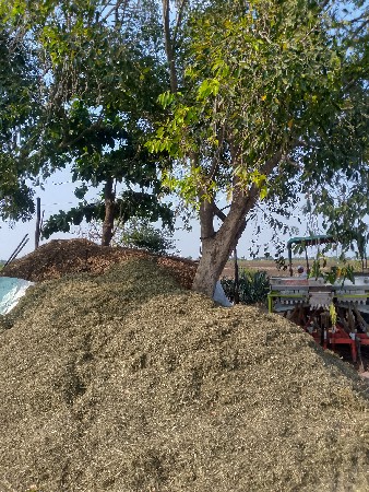 અડદી નો ભુકો