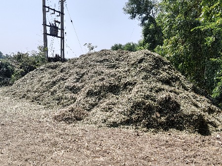 માંડવી નો પાલો વેચવાનો છે