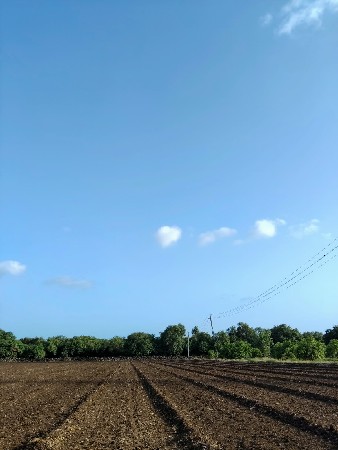 સાડા ચાર વિઘા જમીન વેચવાની છે
