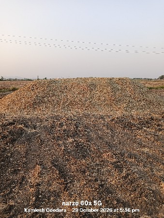 ભુકો વેચવાનો છે