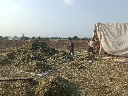 6. k7 મજુર ભાઇ ની જરૂર છે
