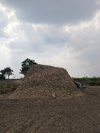 મગફળીનો ભુકો(પાલો) વેચવાનો છે