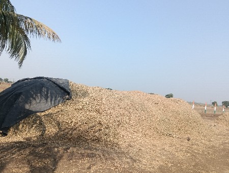 પાલો વેસવાનો છે