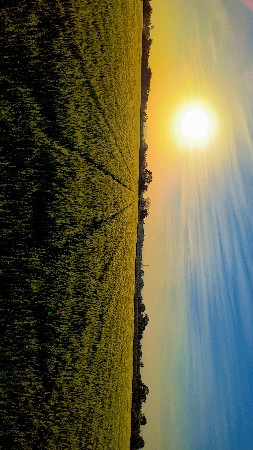 🌾 જમીન વેચવાની છે 🌾