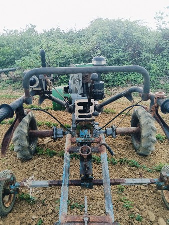 શિગડવાળું વેચવાનું છે
