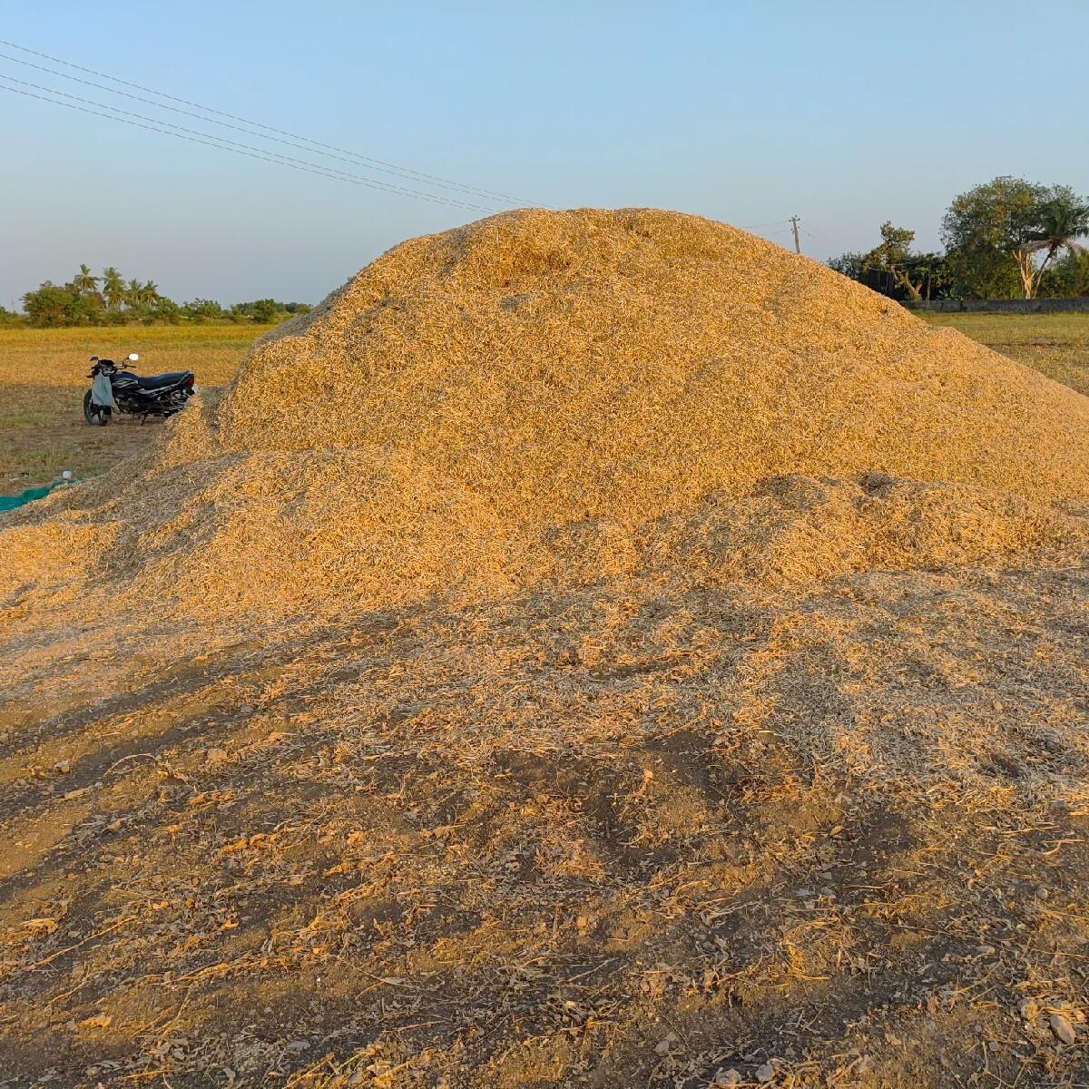 સોયાબીન નો પાલો (ભૂકો)