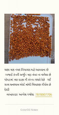 શણા 3 નંબર