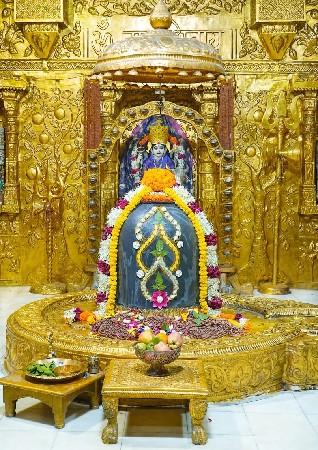 G ૨૦ મગફળી નુ માંડવ્યું (પાલો)