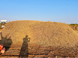 મગફળી નો ભૂકો (પાલો) વેચવાનો છે.