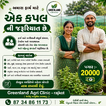 બગીચો સંભાળવા 1 જોડી જોઈએ છે.