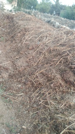 છાણીયુ ખાતર પ્યોર