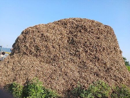 40 વીઘા નો ભૂકો વેચવાનો છે