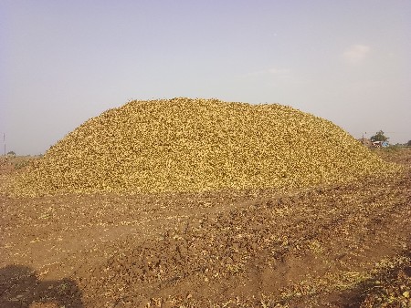 માંડવી નો ભૂકો વેસવાનો સે