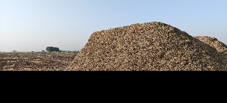 માંડવી નો બુક્કો