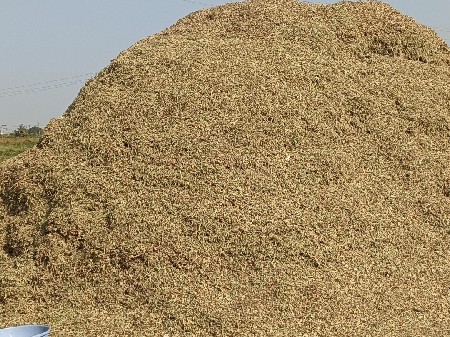 મગો ટુ વેચવાનું છે