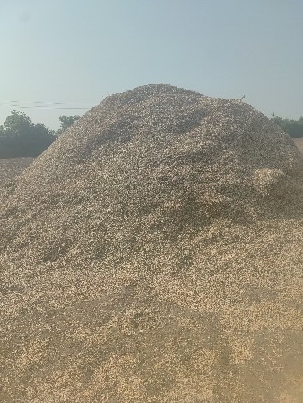 મગફળી નો ભુકો (પાલો) વેચવાનો છે