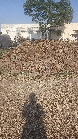 ખાતર વેચવાનું છે તોલીના 4000