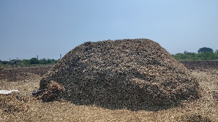 ગીરના ચાર પાલો