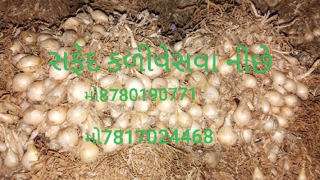 જબરા ભાઈ
