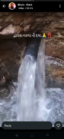 ભેંસ વેચવાની છે