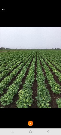 જમીન