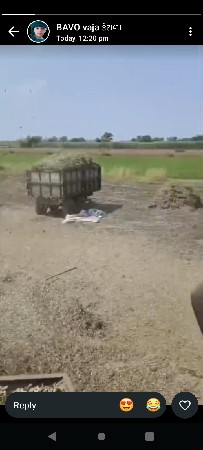 મગફળી નો ચારો