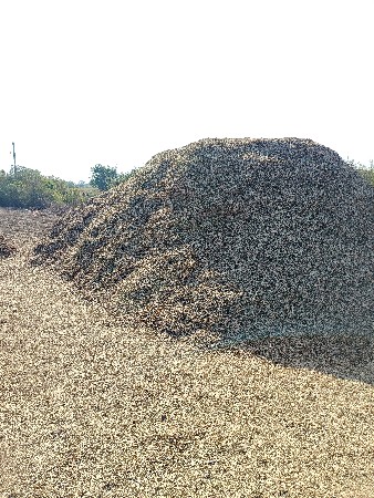 માંડવી ભૂકો વેચવાનો છે