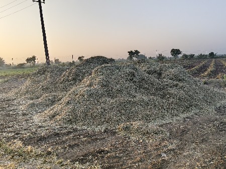 મગફળી નો ભૂકો વેચવા નો છે.